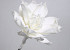 Blume Schaumstoff 75cm Weiss