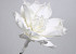 Fleur en mousse 75cm Blanc