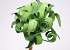 Foam Plant 30cm green