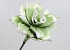 Fleur en mousse 75cm Blanc-Vert