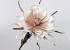 Fleur en mousse 80cm Blanc-Mocca