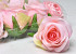 Rose D9cm Pink