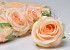 Rose D9cm Peach Orange 