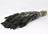 Setaria Black 65cm