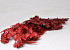 Oak Leaves Red 50-60cm