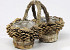 Birch Planter Double 20cm