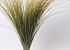 Beach Grass XL 120cm 500gr.