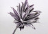 Foam flower 80cm white/purple