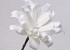 Foam flower 24cm white