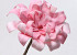 Foam flower 24cm pink