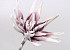 Fleur en mousse Blanc/Lila, D 35cm