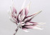 Foam Flower White/Lilac, D 35cm