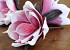 Blume Schaumstoff 18cm weiss/rosa