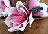 Foam Bloem 18cm wit/roze