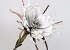 Blume Schaumstoff 80cm Weiss/Grau