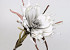 Fleur en mousse 80cm Blanc/Gris