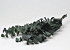 Eucalyptus True Blue 65cm Green