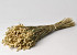 Briza Maxima 80gr.