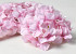 Hydrangea Head D16cm Pastel Pink