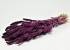 Bouquet Setaria 65cm Violette 