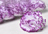 Carnation D9cm White/Purple