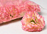 Carnation D9cm Pink/Yellow