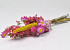 DIY Dried Flower Bouquet XL Pink/Yellow