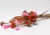 Dried Flower Bouquet XL Pink/Orange 