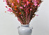 Bouquet de Fleurs Séchées XL Rose/Orange 