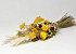 Trockenblumenstrauß Flach Gelb Naturel 60cm
