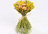 Droogboeket Medium d20cm geel