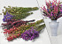 DIY Bouquet de Fleurs Séchées Violet/Rose XL