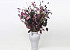 DIY Dried Flower Bouquet XL Black/Purple