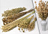 Dried Flower Bouquet XL Natural