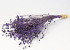 Linum Purple 40cm