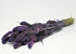 Bouquet Setaria Violet 65cm 