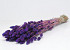 Bouquet Phalaris Violet 70cm 