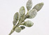 Decorum 100cm Green