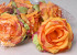 Rose Satin D11cm Herbst Orange