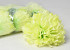Dahlia Crème/Vert artificielle D16cm