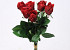 Bouquet Red Rose 38cm