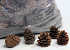 Pine Cone Halepensis Cones 10 kg