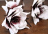 Blume Schaumstoff Weiß/Lila, D 16cm
