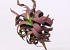 Plante en mousse 45cm marron-vert