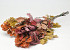 Oak Leaves Mix 50-60cm