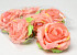 Rose Satin D11cm Rosa