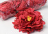 Peony Red D18cm