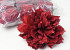 Dahlia D16cm Rood