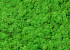 Reindeer Moss Light Grass Green per kg