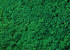 Lichen stabilisé Vert Herbe par kg